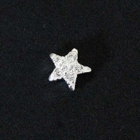 Estrella tachonada de piedras Zirconia Plata Secreto aficionado a 925 Momentos de la Vida Capsula