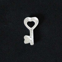 Cerradura de la llave secreta de plata aficionado a 925 Momentos de la Vida Capsula