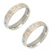 Pair of Alliance 5mm Stainless Steel with Zirconia Stone and Apply Love in Gold
