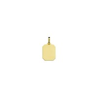 Gold pendant for recording picture 21 mm x 17.2 mm