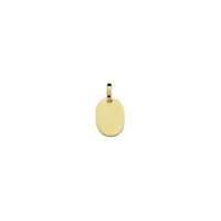 Gold pendants for recording picture 19.2 mm x 14.2 mm
