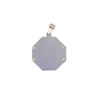 Pendants of Steel and Gold for recording picture  23 mm / 7 g