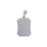 Pendants of Steel and Gold for recording picture  21 mm x 17 mm / 5 g