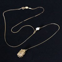 Semi-precious Necklace Gold Plated Pendant with Zirconia Stones and Point of Light 45cm