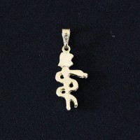 Pendant Semi Jewelry Gold Plated Dentistry