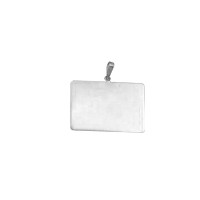 Pendant Silver for recording Photo 21 mm x 30 mm