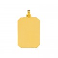 Gold pendant for recording picture 25mm x 18.5mm