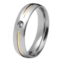 Alliance anatomical 5mm stainless steel, w / a fillet of gold and stone zirconia 2mm