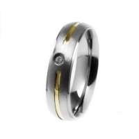 Alliance anatomical 5mm stainless steel with a gold fillet with 1 stone zirconia and recess
